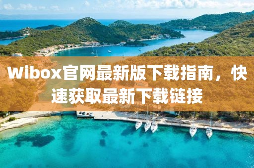 Wibox官網(wǎng)最新版下載指南，快速獲取最新下載鏈接