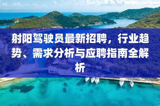 射陽駕駛員最新招聘，行業(yè)趨勢(shì)、需求分析與應(yīng)聘指南全解析