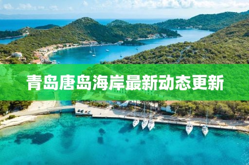 青島唐島海岸最新動(dòng)態(tài)更新