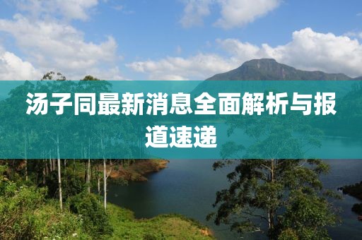 湯子同最新消息全面解析與報(bào)道速遞