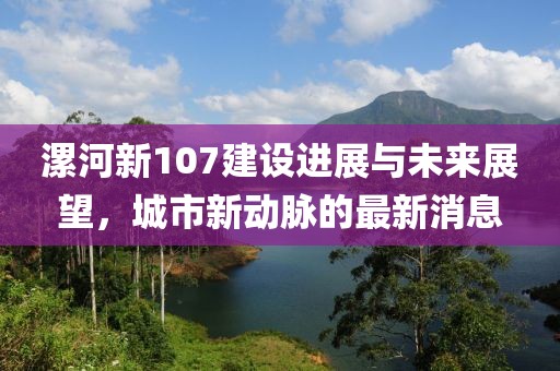 漯河新107建設進展與未來展望，城市新動脈的最新消息