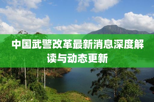 中國(guó)武警改革最新消息深度解讀與動(dòng)態(tài)更新