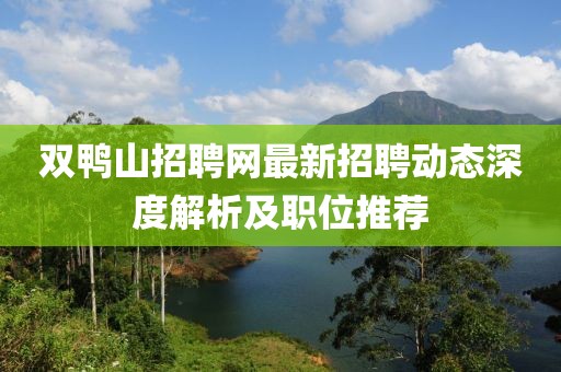 雙鴨山招聘網最新招聘動態(tài)深度解析及職位推薦