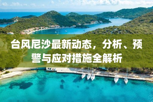 臺風尼沙最新動態(tài)，分析、預警與應對措施全解析