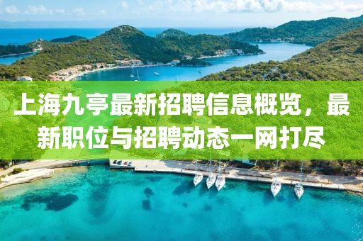 上海九亭最新招聘信息概覽，最新職位與招聘動態(tài)一網(wǎng)打盡