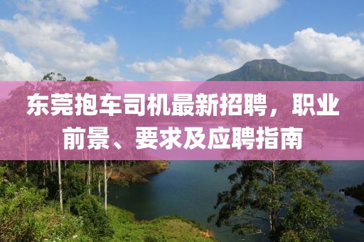 東莞抱車司機(jī)最新招聘，職業(yè)前景、要求及應(yīng)聘指南