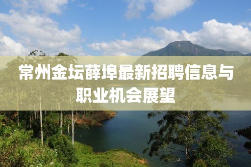 常州金壇薛埠最新招聘信息與職業(yè)機(jī)會(huì)展望