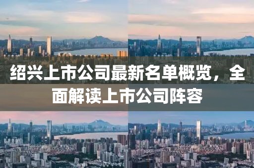 紹興上市公司最新名單概覽，全面解讀上市公司陣容