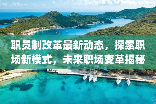 職員制改革最新動態(tài)，探索職場新模式，未來職場變革揭秘