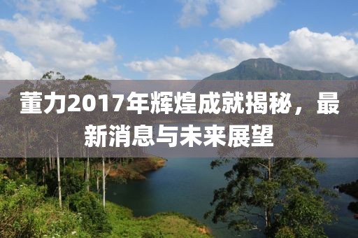 董力2017年輝煌成就揭秘，最新消息與未來展望