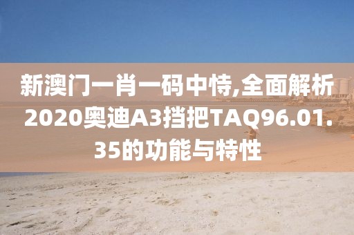 新澳門一肖一碼中恃,全面解析2020奧迪A3擋把TAQ96.01.35的功能與特性