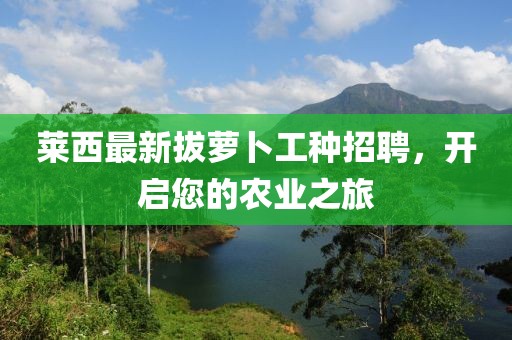 萊西最新拔蘿卜工種招聘，開啟您的農(nóng)業(yè)之旅