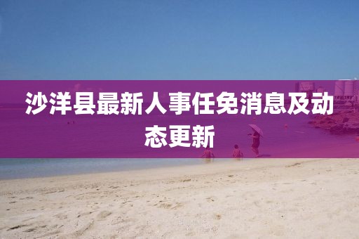 沙洋縣最新人事任免消息及動態(tài)更新