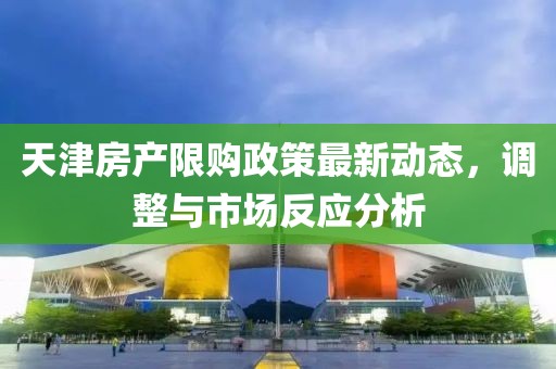 天津房產限購政策最新動態(tài)，調整與市場反應分析