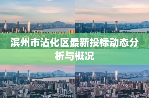 濱州市沾化區(qū)最新投標(biāo)動(dòng)態(tài)分析與概況