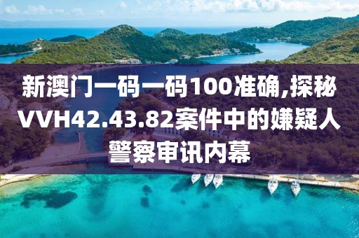 新澳門一碼一碼100準確,探秘VVH42.43.82案件中的嫌疑人警察審訊內(nèi)幕