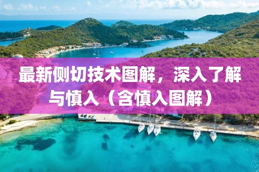 最新側切技術圖解，深入了解與慎入（含慎入圖解）