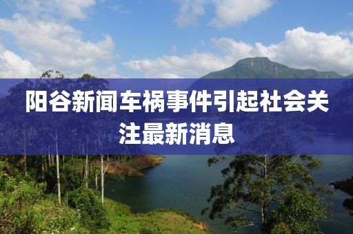 陽谷新聞車禍事件引起社會關注最新消息