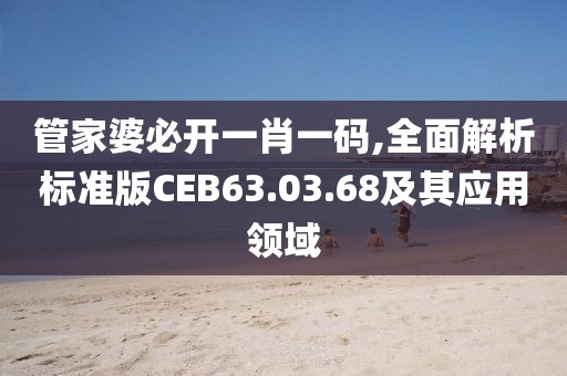 管家婆必開一肖一碼,全面解析標準版CEB63.03.68及其應(yīng)用領(lǐng)域