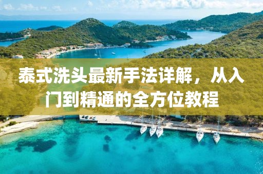 泰式洗頭最新手法詳解，從入門(mén)到精通的全方位教程