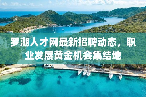 羅湖人才網最新招聘動態(tài)，職業(yè)發(fā)展黃金機會集結地