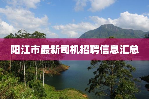 陽江市最新司機招聘信息匯總