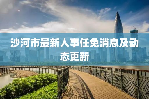 沙河市最新人事任免消息及動態(tài)更新