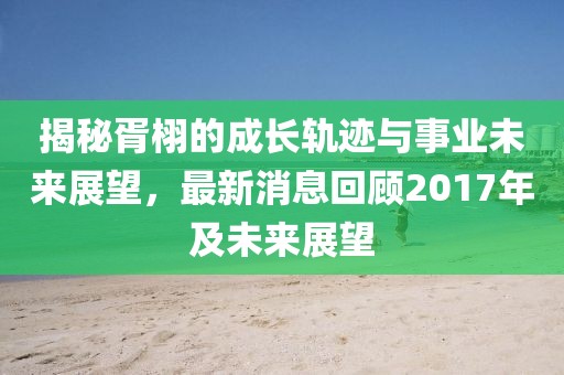 揭秘胥栩的成長軌跡與事業(yè)未來展望，最新消息回顧2017年及未來展望