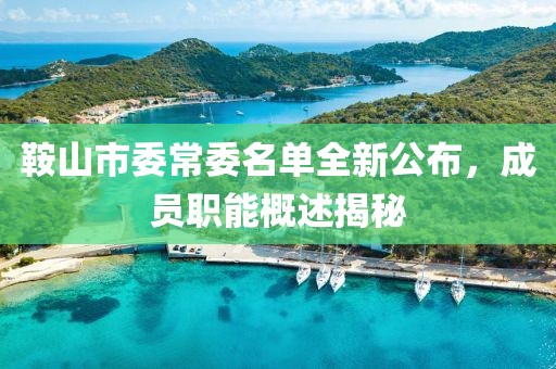 鞍山市委常委名單全新公布，成員職能概述揭秘