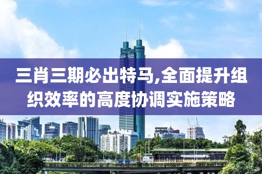 三肖三期必出特馬,全面提升組織效率的高度協(xié)調(diào)實(shí)施策略