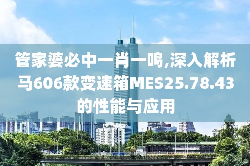 管家婆必中一肖一鳴,深入解析馬606款變速箱MES25.78.43的性能與應用