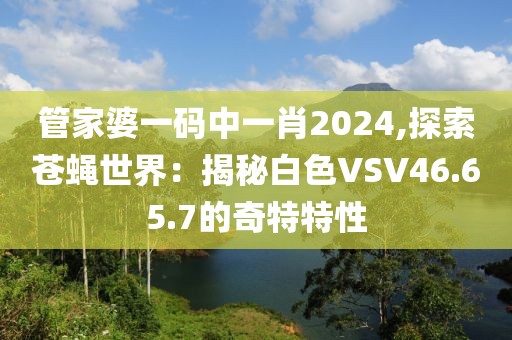 管家婆一碼中一肖2024,探索蒼蠅世界：揭秘白色VSV46.65.7的奇特特性