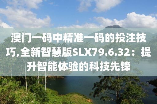 澳門一碼中精準一碼的投注技巧,全新智慧版SLX79.6.32：提升智能體驗的科技先鋒