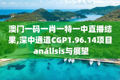 澳門一碼一肖一特一中直播結果,深中通道CGP1.96.14項目 análisis與展望