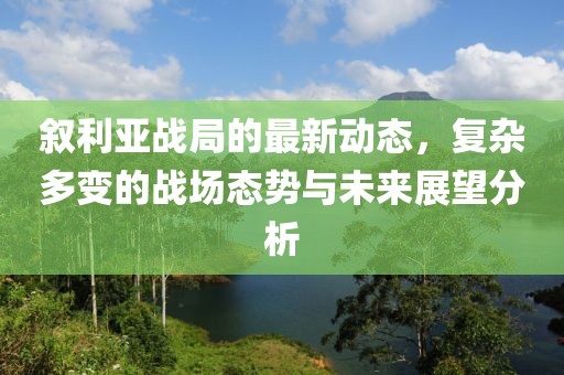 敘利亞戰(zhàn)局的最新動態(tài)，復雜多變的戰(zhàn)場態(tài)勢與未來展望分析