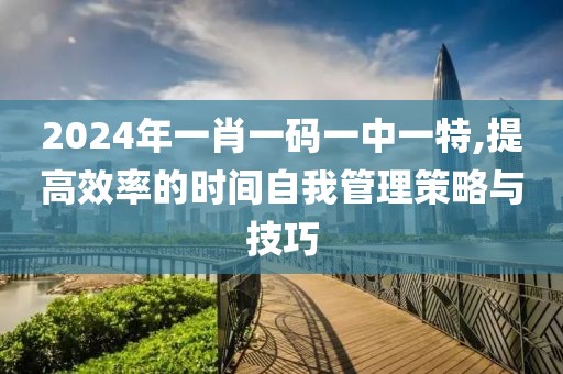 2024年一肖一碼一中一特,提高效率的時間自我管理策略與技巧