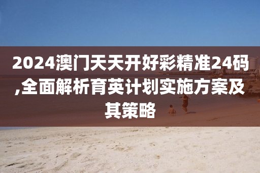 2024澳門天天開好彩精準(zhǔn)24碼,全面解析育英計(jì)劃實(shí)施方案及其策略