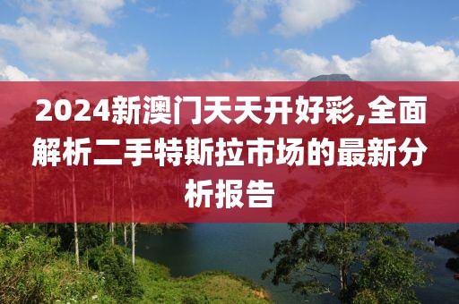 2024新澳門天天開(kāi)好彩,全面解析二手特斯拉市場(chǎng)的最新分析報(bào)告