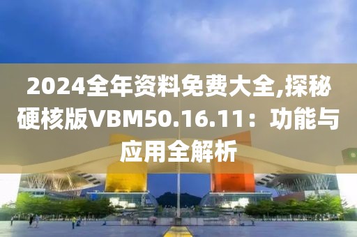 2024全年資料免費大全,探秘硬核版VBM50.16.11：功能與應用全解析