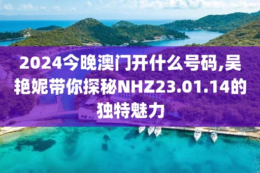 2024今晚澳門開什么號碼,吳艷妮帶你探秘NHZ23.01.14的獨特魅力