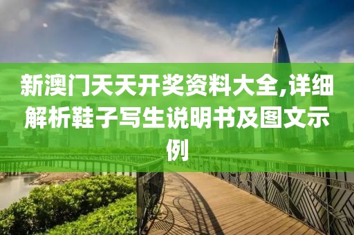 新澳門天天開獎資料大全,詳細解析鞋子寫生說明書及圖文示例