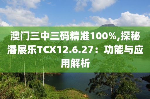 澳門三中三碼精準(zhǔn)100%,探秘潘展樂(lè)TCX12.6.27：功能與應(yīng)用解析