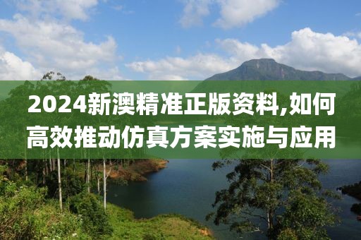 2024新澳精準(zhǔn)正版資料,如何高效推動(dòng)仿真方案實(shí)施與應(yīng)用