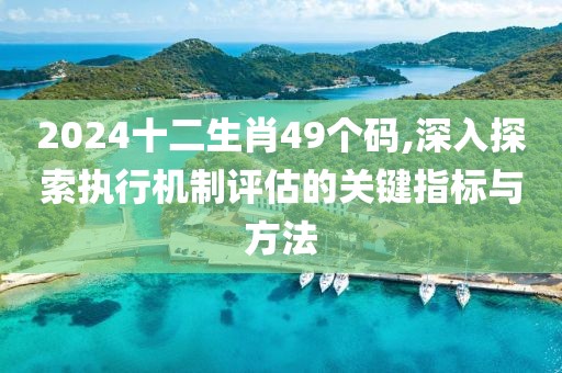 2024十二生肖49個碼,深入探索執(zhí)行機制評估的關(guān)鍵指標與方法