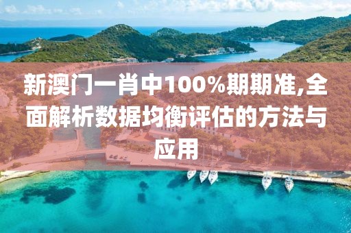 新澳門一肖中100%期期準(zhǔn),全面解析數(shù)據(jù)均衡評估的方法與應(yīng)用