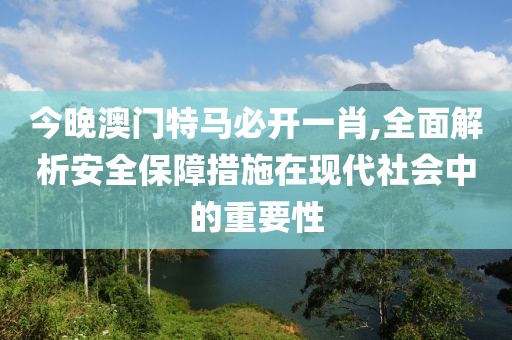 今晚澳門特馬必開一肖,全面解析安全保障措施在現(xiàn)代社會(huì)中的重要性