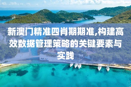 新澳門精準四肖期期準,構建高效數(shù)據(jù)管理策略的關鍵要素與實踐