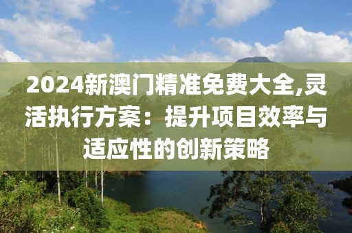 2024新澳門精準(zhǔn)免費(fèi)大全,靈活執(zhí)行方案：提升項(xiàng)目效率與適應(yīng)性的創(chuàng)新策略