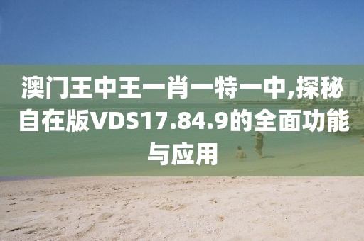 澳門王中王一肖一特一中,探秘自在版VDS17.84.9的全面功能與應用