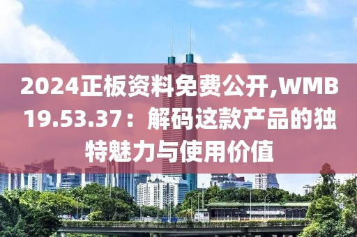 2024正板資料免費公開,WMB19.53.37：解碼這款產(chǎn)品的獨特魅力與使用價值